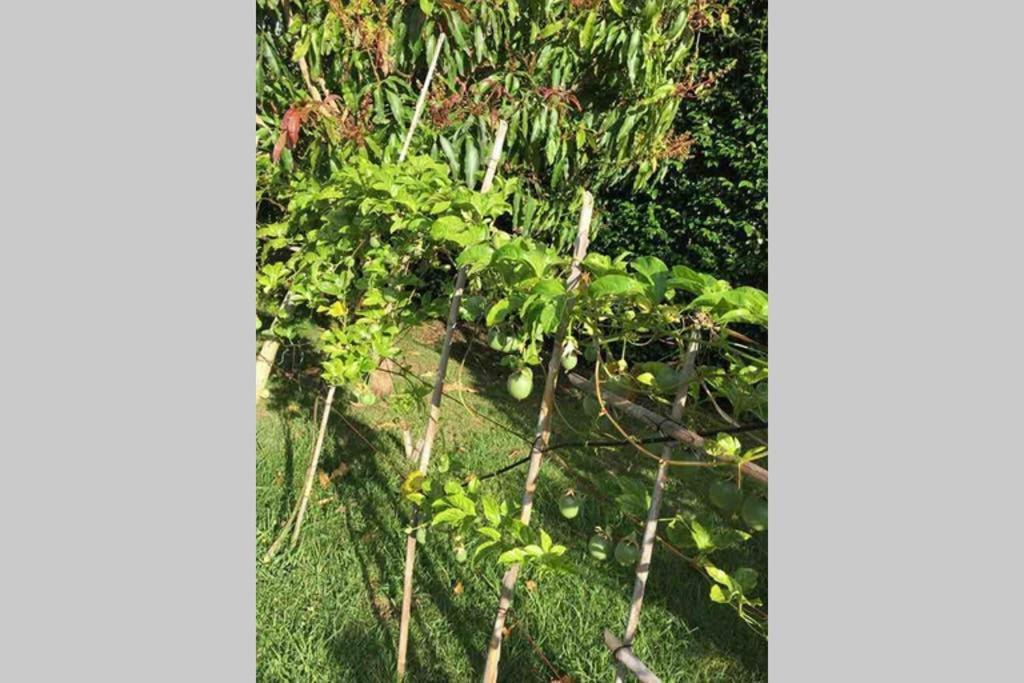 Summer House With Bbq And Garden Horta  Ngoại thất bức ảnh