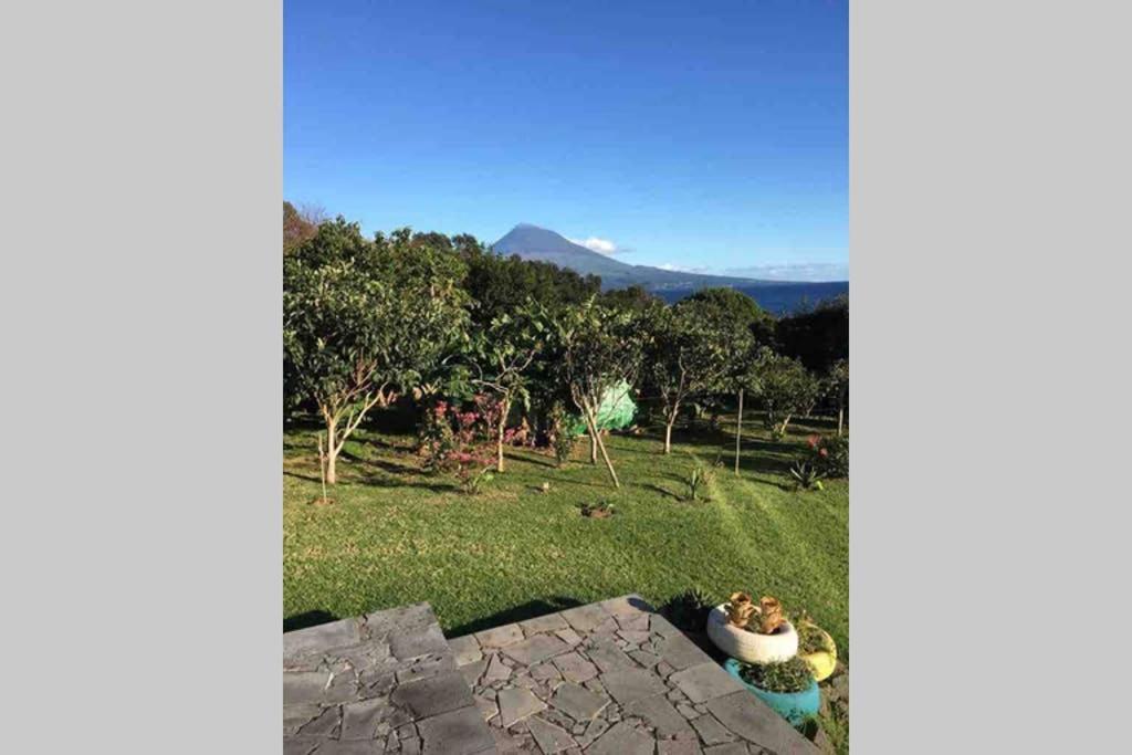 Summer House With Bbq And Garden Horta  Ngoại thất bức ảnh